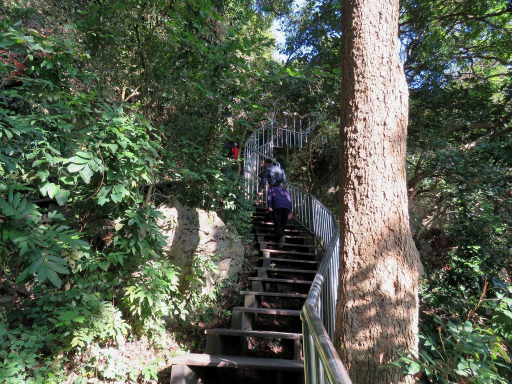 0242高雄市鼓山區柴山登山步道