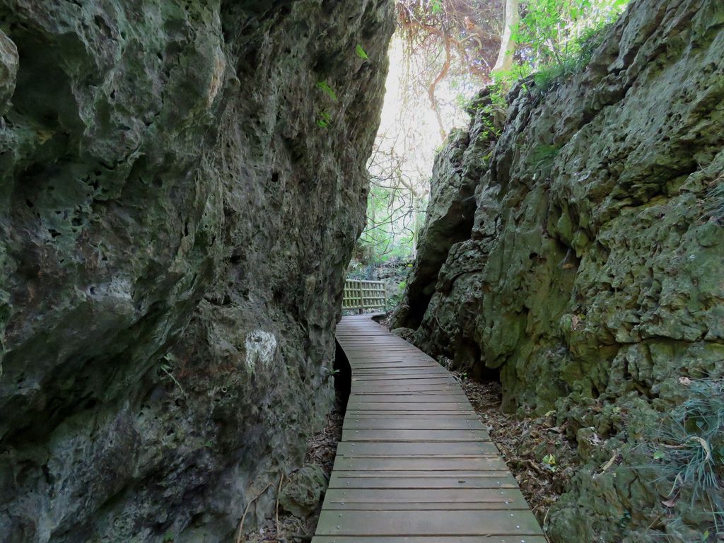 0257高雄市鼓山區柴山登山步道