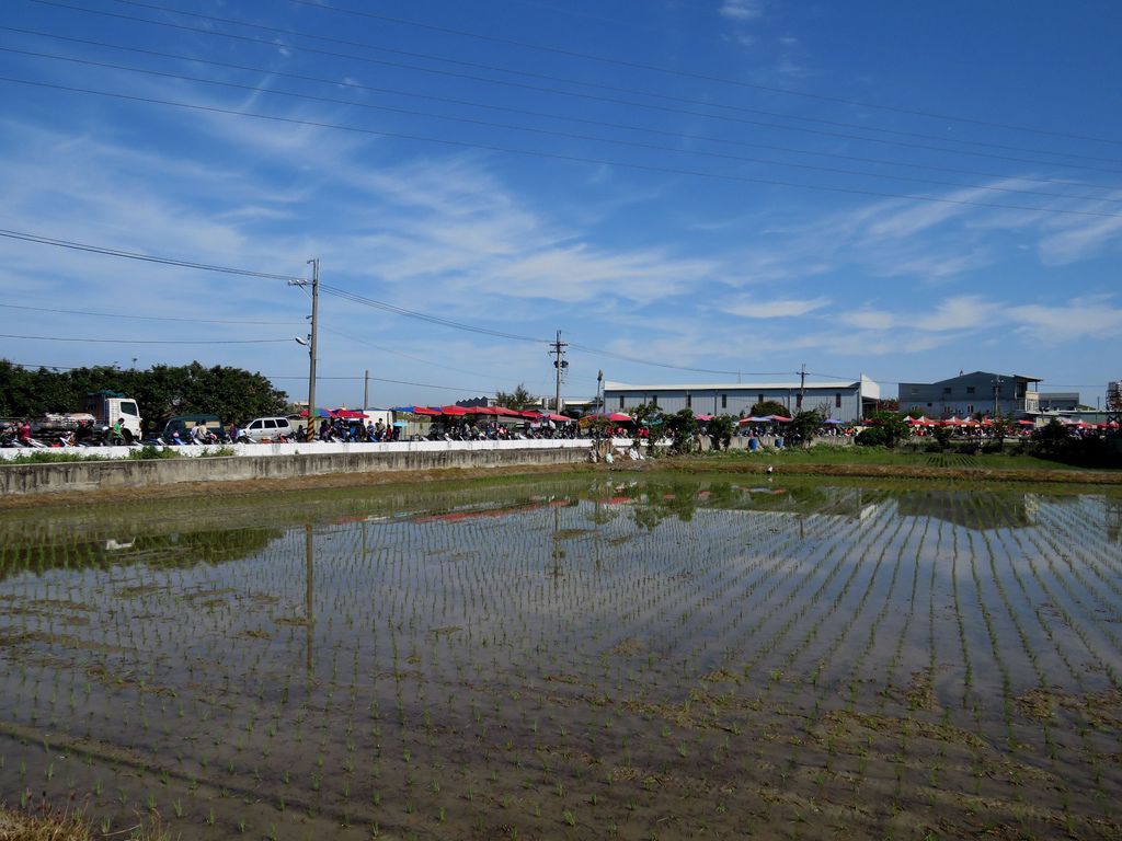 1728台中市大雅區「小麥文化節」在寶興宮