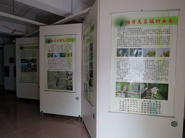 1017屏東縣枋山鄉伯勞鳥生態展示館