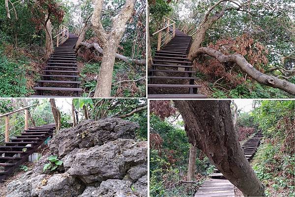 0523高雄市左營區龜山登山步道