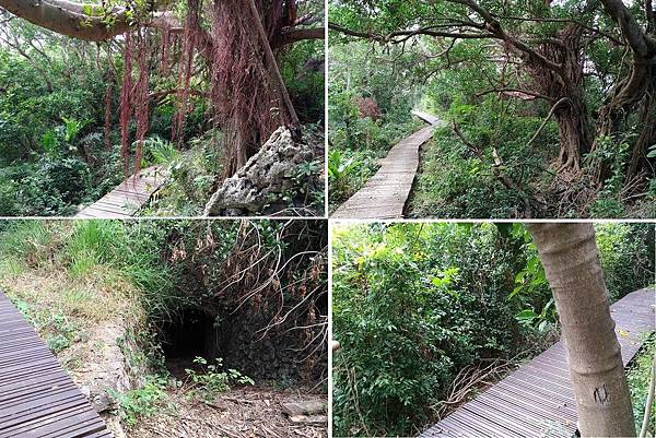 0526高雄市左營區龜山登山步道