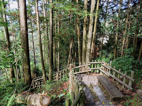 0584嘉義縣阿里山鄉達邦部落鳥占亭步道