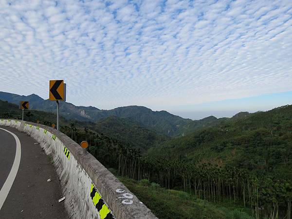 0633嘉義縣番路鄉阿里山公路