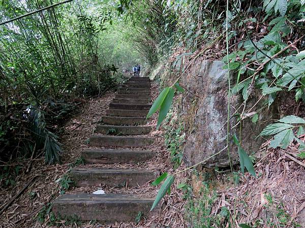 0639嘉義縣番路鄉二延平步道