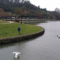 0093台北市內湖區碧湖公園