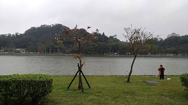 0098台北市內湖區碧湖公園