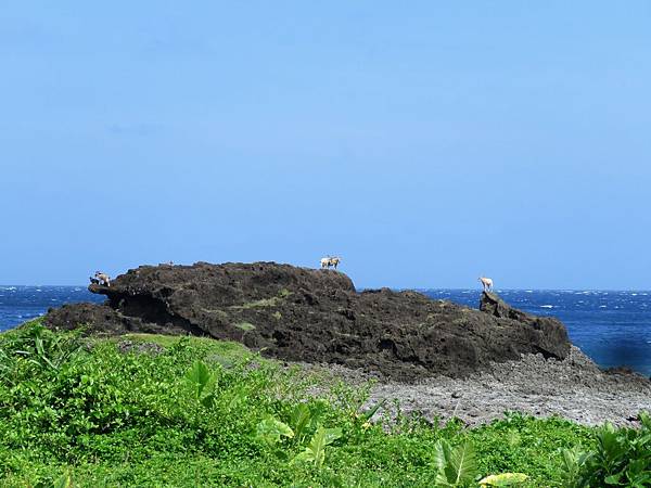 0142台東縣蘭嶼鄉環島公路