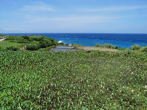 0195台東縣蘭嶼鄉環島公路