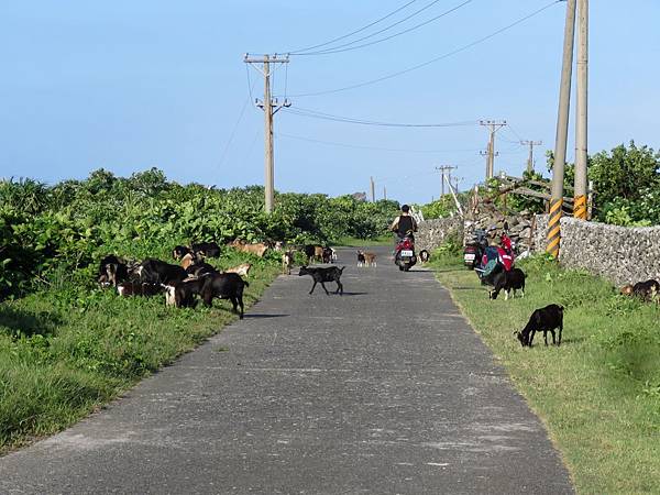 0479台東縣蘭嶼鄉環島公路