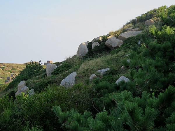 0384馬祖莒光鄉東莒佛手步道