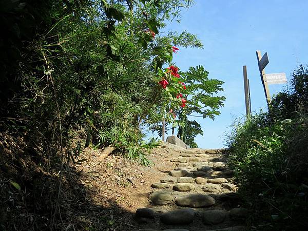 0673彰化縣社頭鄉清水岩步道之十八彎森林步道