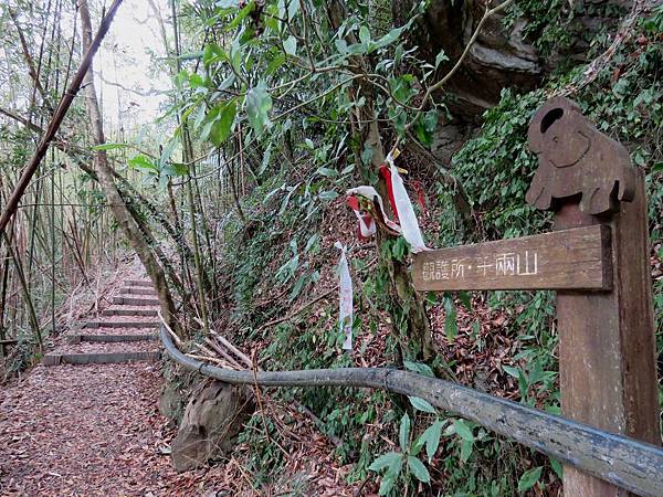 1137苗栗縣泰安鄉象鼻古道