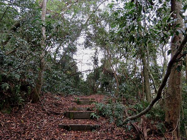 1155苗栗縣泰安鄉千兩山步道