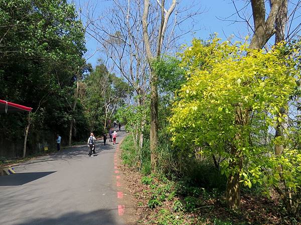 0736彰化縣員林市藤山步道