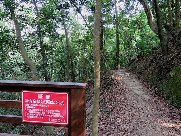 2810台中市霧峰區樟樹林步道