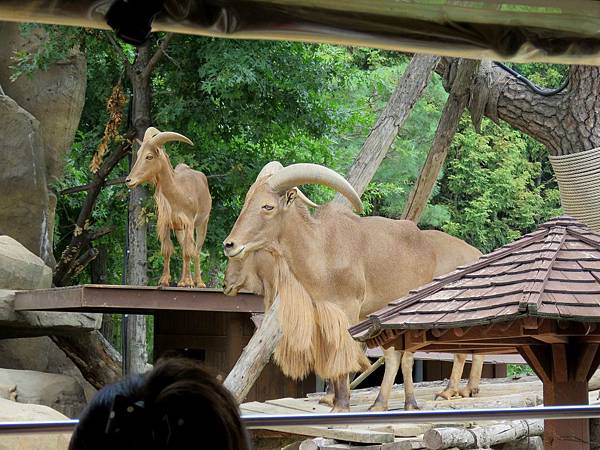 0355國愛寶樂園