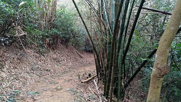 0321新竹市東區高峰植物園