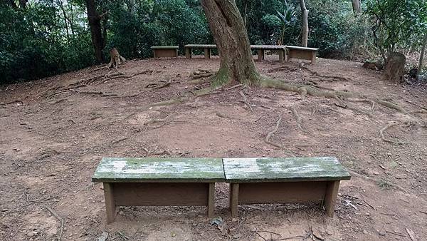 0330新竹市東區高峰植物園