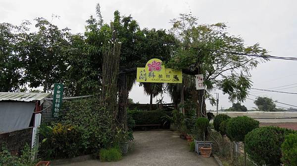 0462台南市山上區蘭科植物園