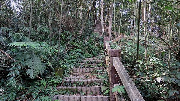 1221苗栗縣大湖鄉出關步道（關刀山步道）