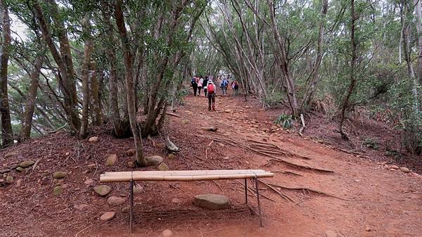 1287苗栗縣三義鄉火炎山登山步道