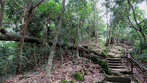 2842台中市北屯區南觀音山步道.jpg