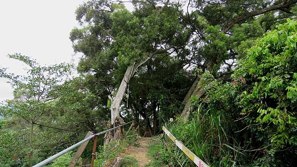 2873台中市北屯區南觀音山步道.jpg