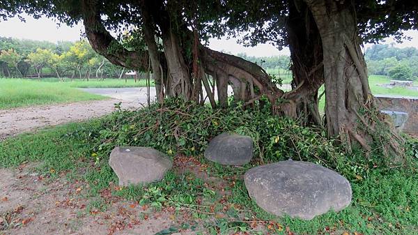 0876雲林縣斗南鎮他里霧埤公園.jpg