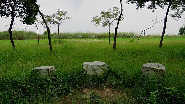 0881雲林縣斗南鎮他里霧埤公園.jpg