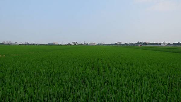 0888雲林縣斗南鎮鄉道.JPG