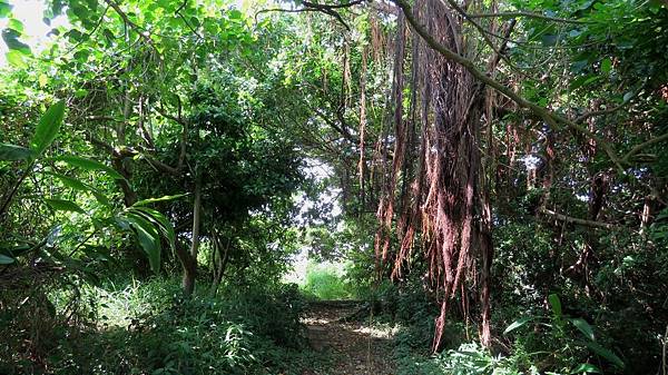 0776高雄市彌陀區漯底山自然公園.jpg