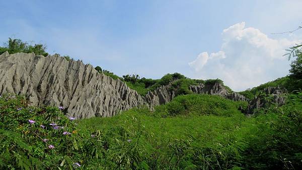 0783高雄市彌陀區漯底山自然公園.jpg