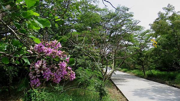 0804高雄市彌陀區漯底山自然公園.jpg