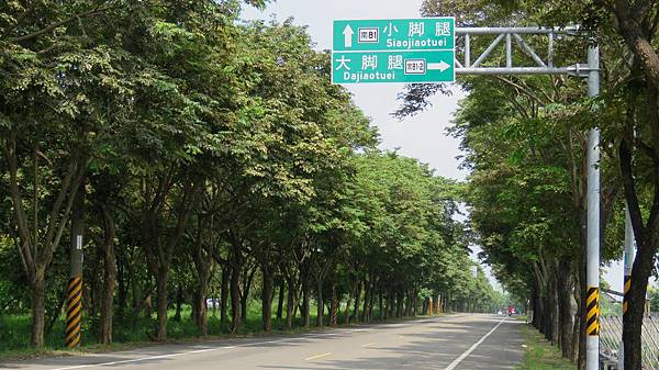 0702台南市柳營區南81鄉道.jpg