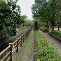 0989台南市新化區南圳綠堤堤岸公園.jpg