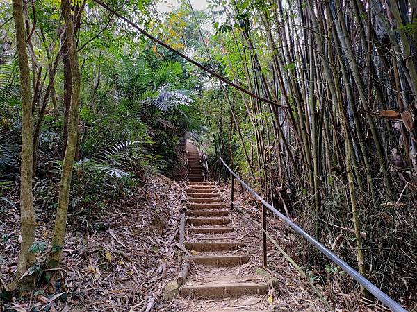 3021台中市豐原區北坑巷健行休閒步道.jpg