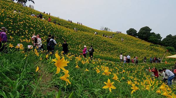 0815彰化縣花壇鄉虎山巖風景區.jpg