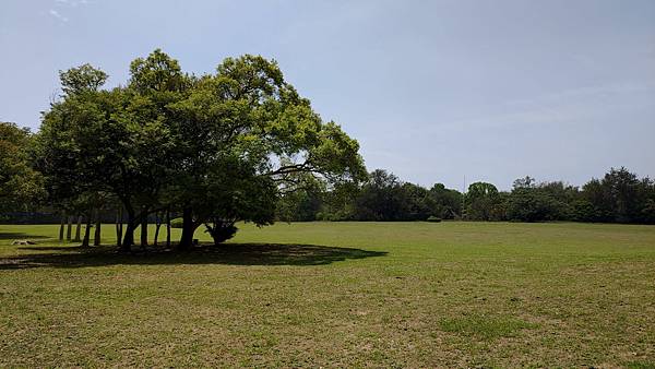 1041高雄市楠梓區高雄都會公園.jpg