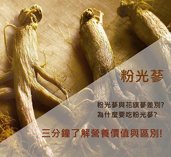 粉光蔘.jpg 粉光蔘.jpg