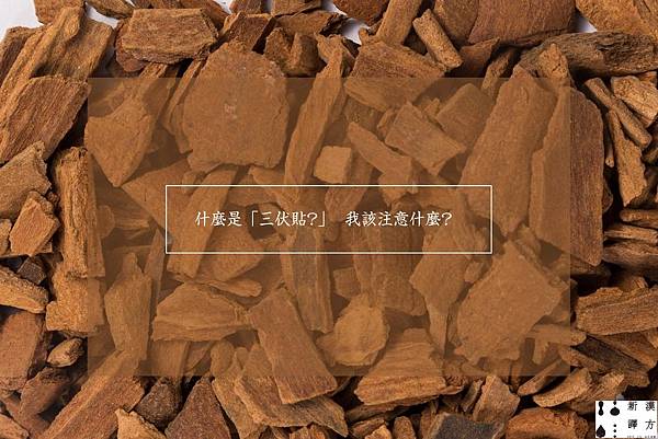 三伏貼.jpg 三伏貼.jpg