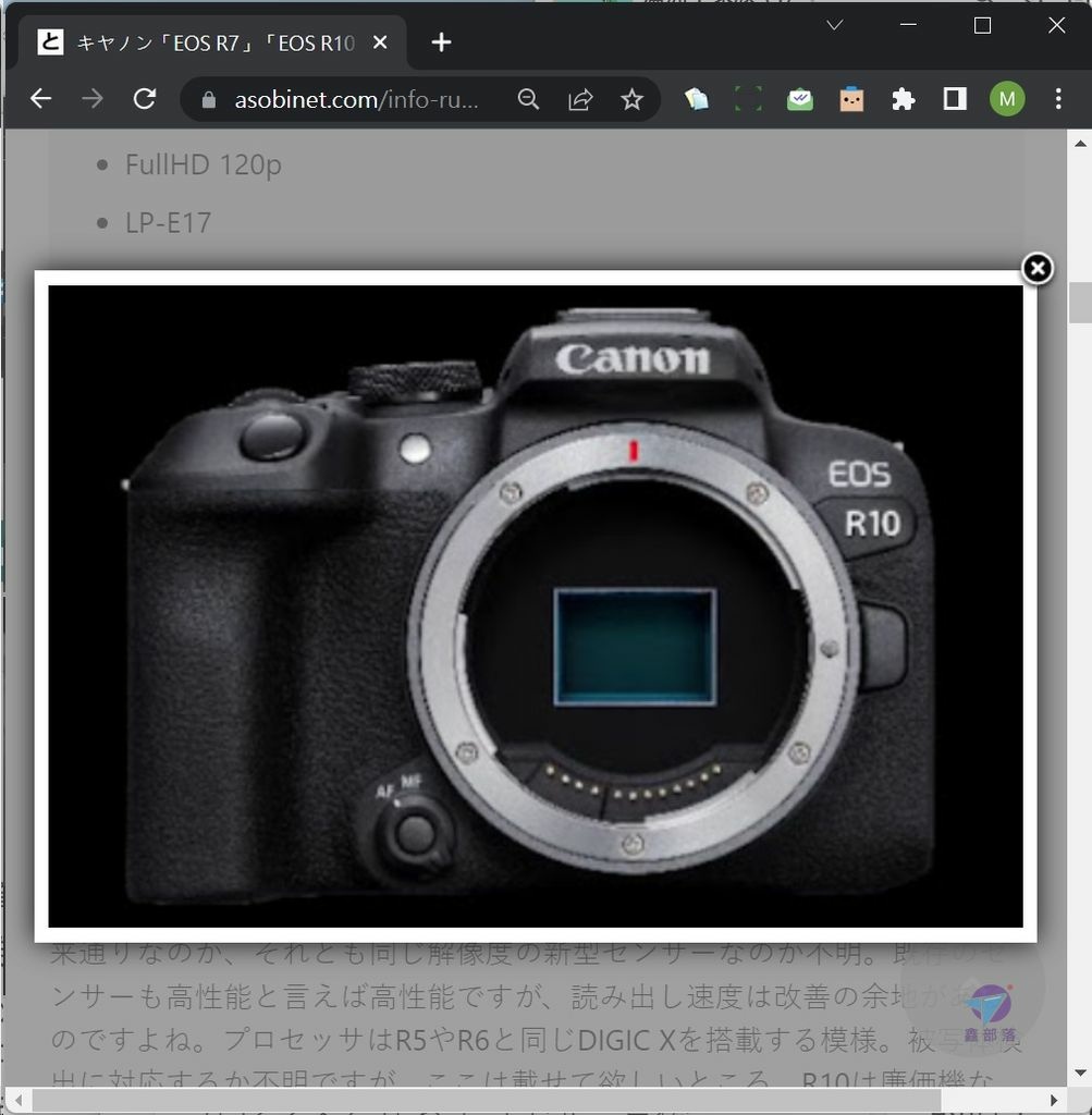 Pixnet-1002-069 canon eos r7 r10 33_结果.jpg