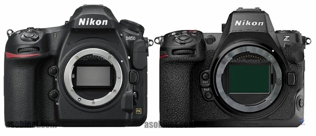 Pixnet-1216-080 sony a7rv vs nikon z 8 04 _结果.jpg