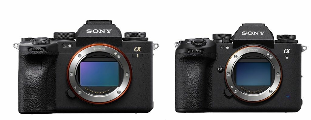 Pixnet-1561_041_SONY A1 新韌體 SONY A9 III重新上架_Finally New Sony A1 2.01 firmware update bug fix and new A9III 2.0 released 03 - 複製_结果.jpg