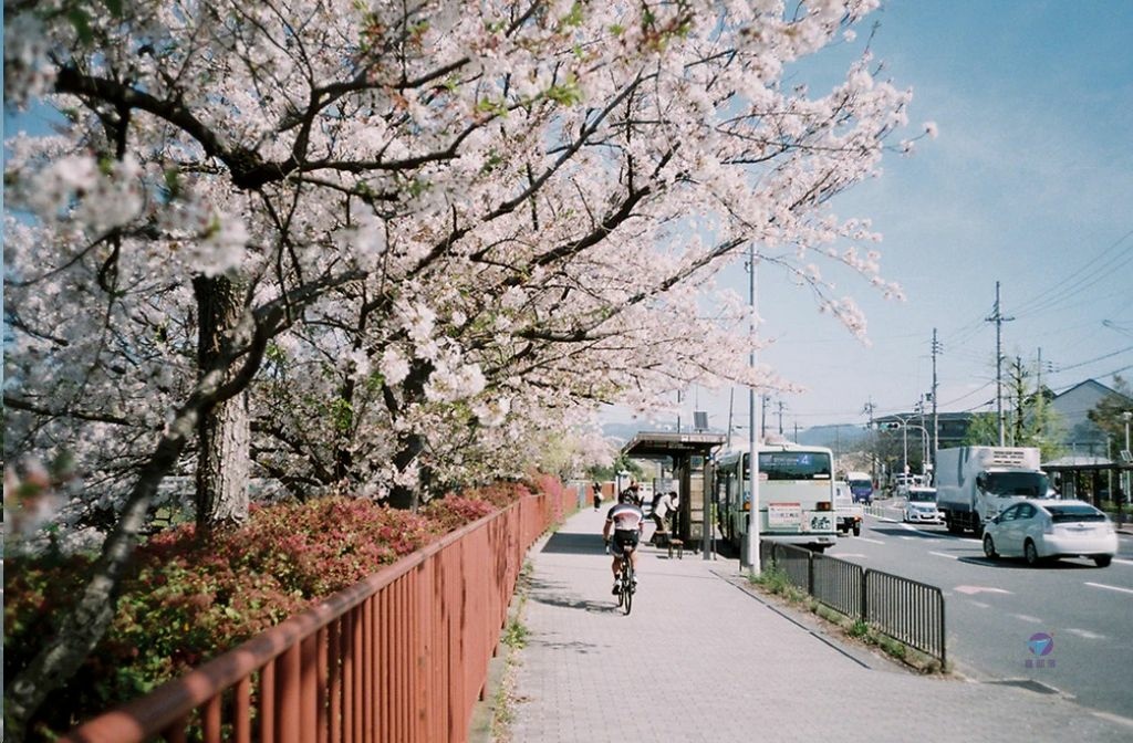 Pixnet-1651-008_祿萊Rollei 35AF (Mint Camera)發表資源懶人包_Rollei 35AF 08_结果.jpg