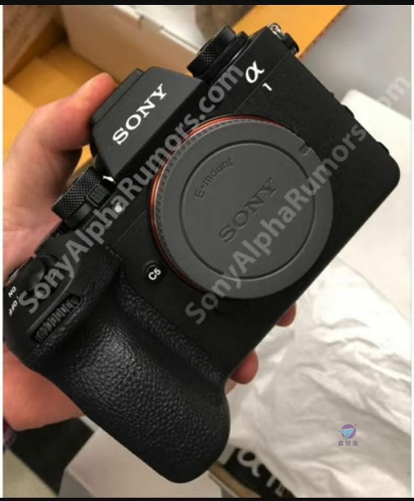 Pixnet-1797-020_首批 Sony A1 II間諜照外洩圖片公開 (_sony a1 ii a1 mark ii 11_结果.jpg