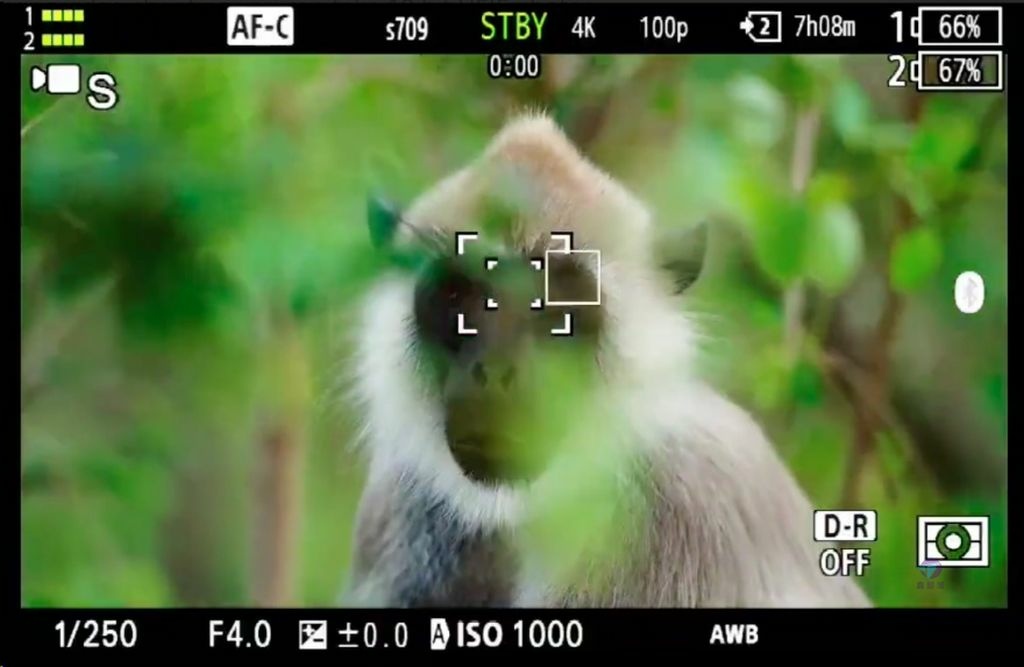 Pixnet-1797-005_SONY A1 II 發表前的間諜照與規格大爆料_sony a1 ii a1 mark ii 30_结果.jpg