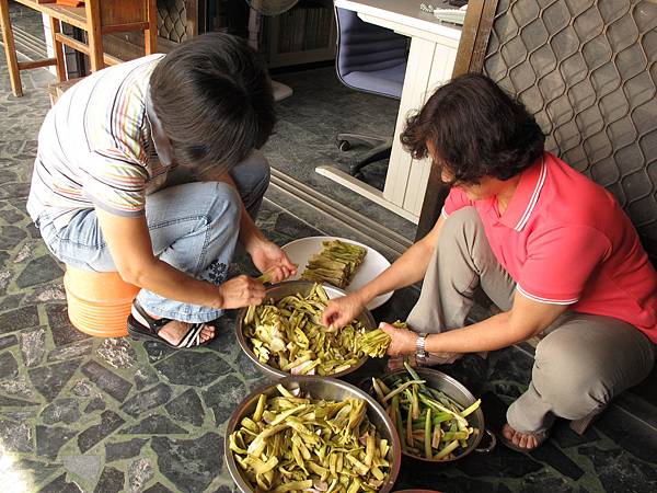 芋梗酸完成-1