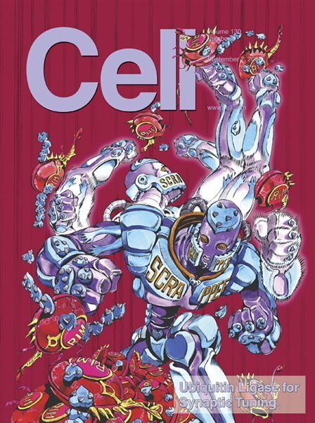 cell