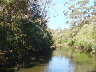 Margaret River.jpg